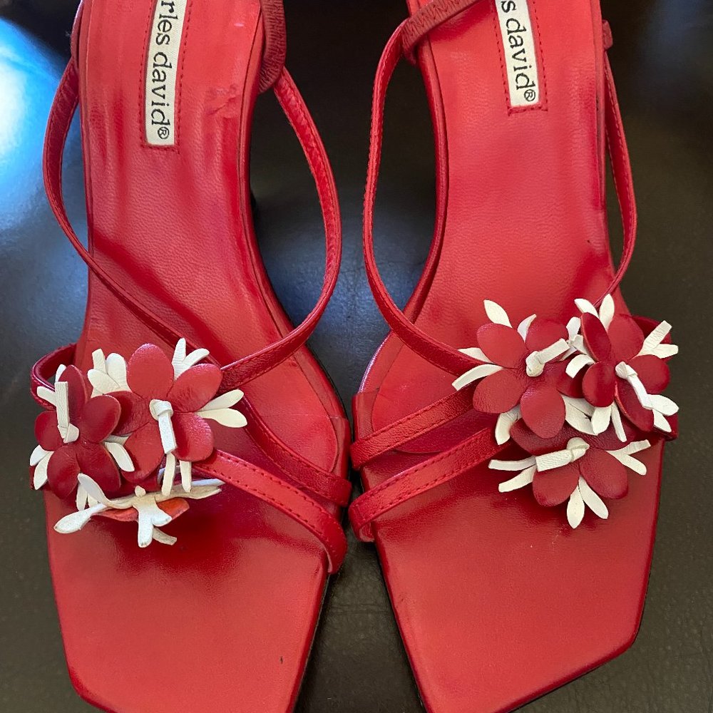 Beautiful Charles David Stiletto Sandals